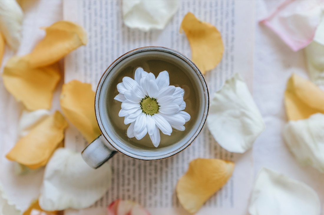 Todo lo que no sabes sobre el Té Oolong