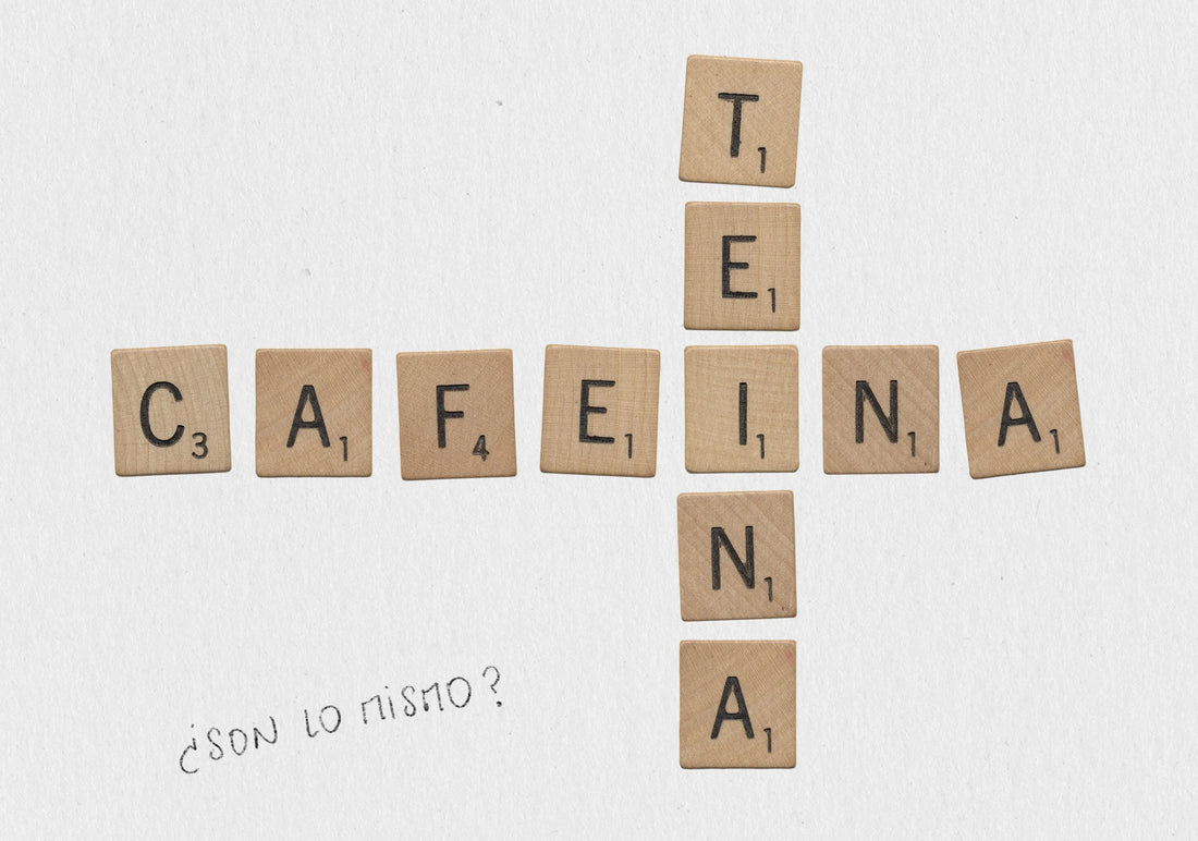 Teína y Cafeína, ¿Son lo mismo? Mitos y realidades