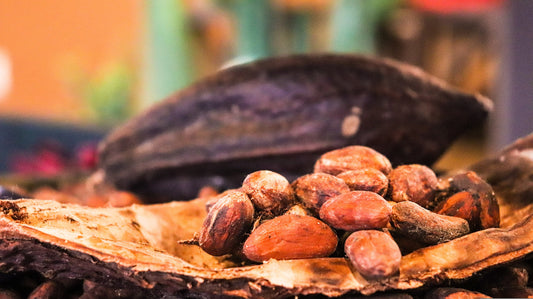 El poder del Cacao