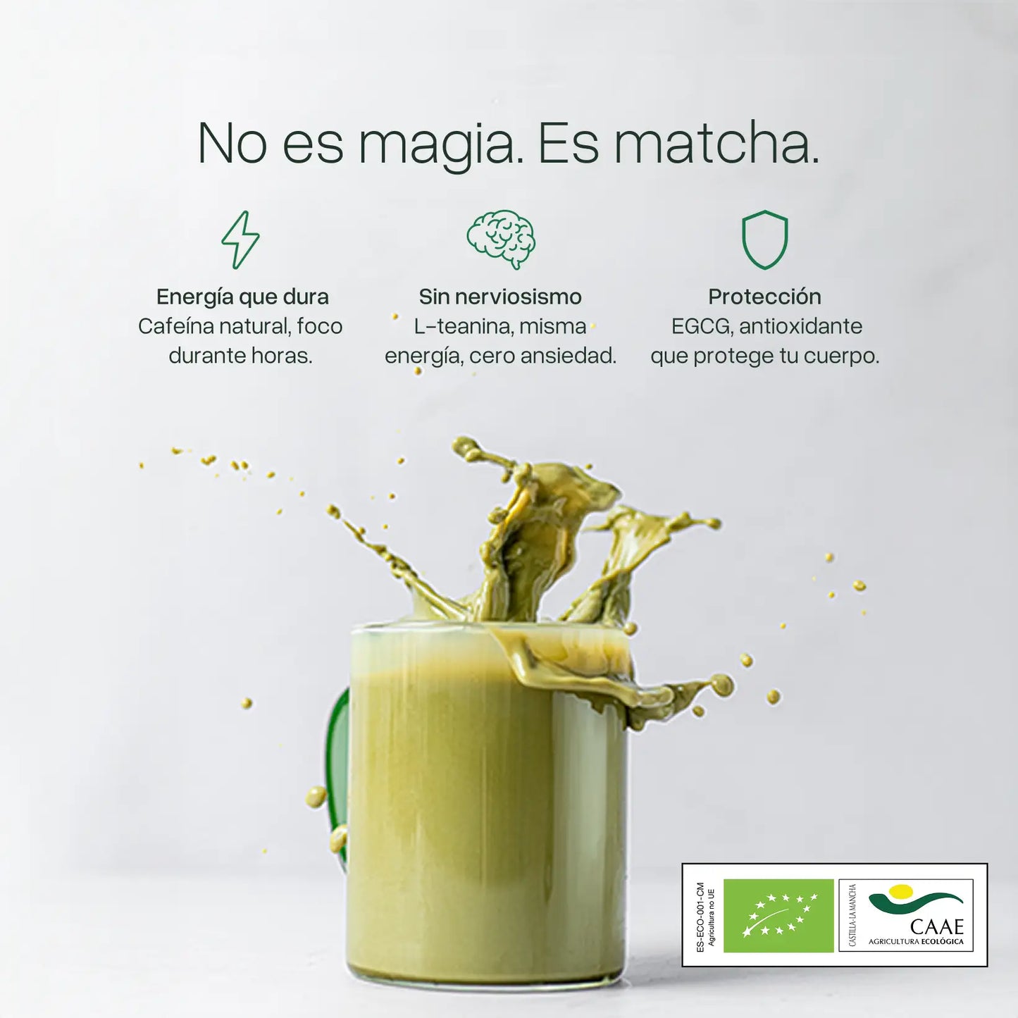 Té Matcha Premium Ceremonial Japón BIO